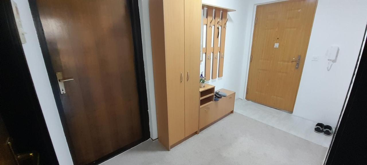 Cozy And Sunny Apartment Near The Airport Сараєво Екстер'єр фото